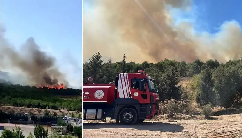Gebze'de Korkutan Orman Yangını: Son Durum ve Sebepler İnceleniyor