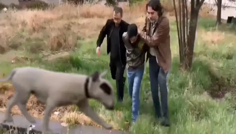 430 Bin Liralık Şampiyon Köpek Hırsızlığına Büyük Darbe: Zanlı Yakalandı!