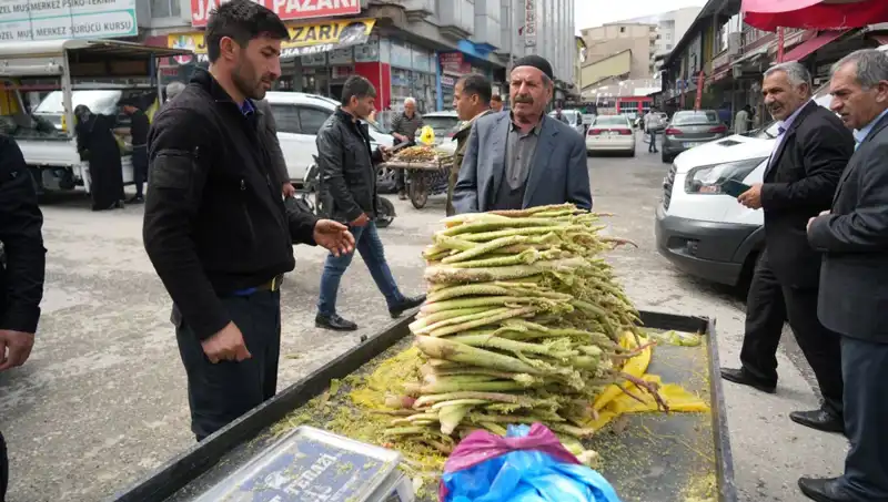 Daha Sağlıklı Bir Gelecek İçin: Dağlık Alanlardan Toplanan Şekerin Faydaları