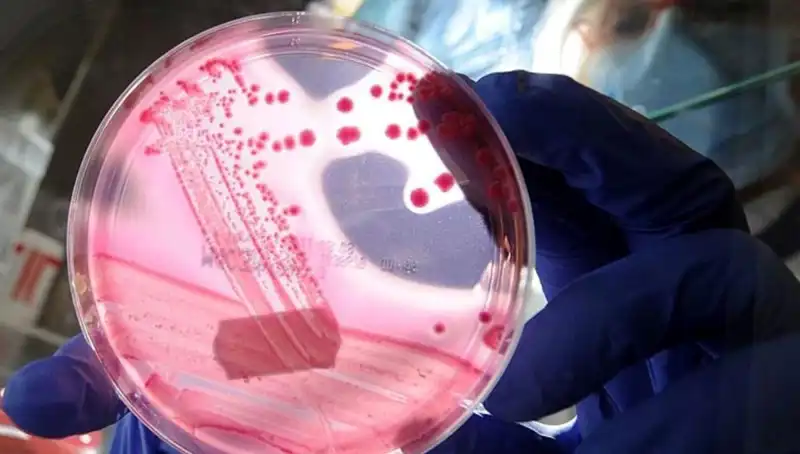 Bilim Dünyasını Sarsacak: AP2A1 Proteini ve Yaşlanma Üzerindeki Etkileri