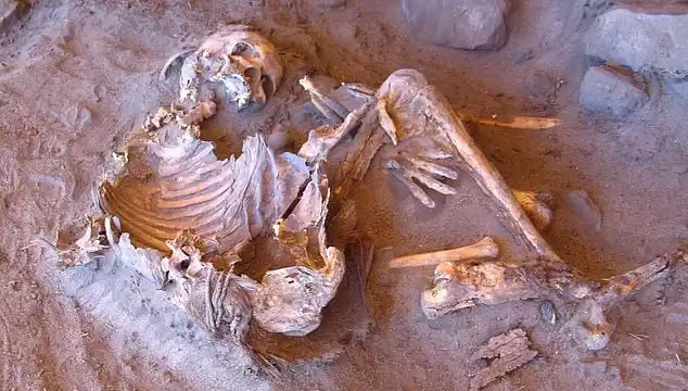 Yeni Mısır Mumyası Keşfi, İnsanlık Tarihini Yeniden Yazıyor!