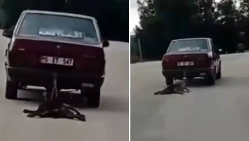 Otomobilin Arkasında Sürüklenen Köpek: Emniyet Açısından Kritik Bir Olay