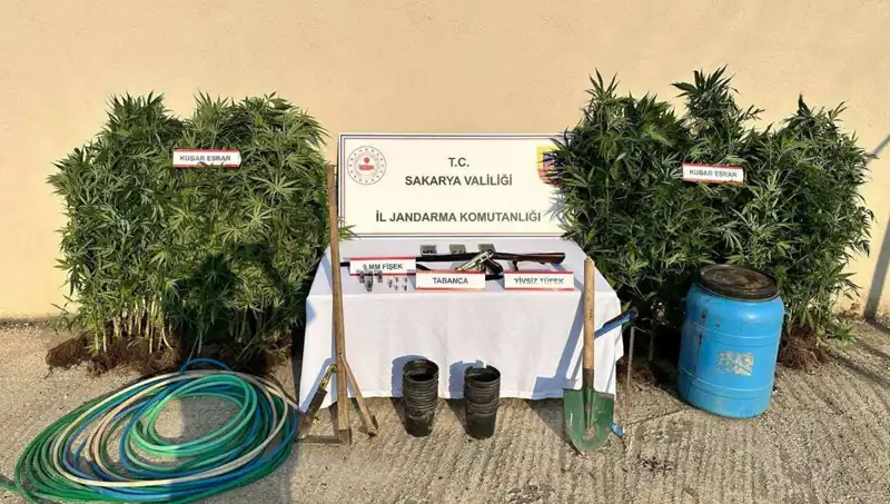 Sakarya'da Dopdolu Uyuşturucu Operasyonu: Bir Şahıs Tutuklandı