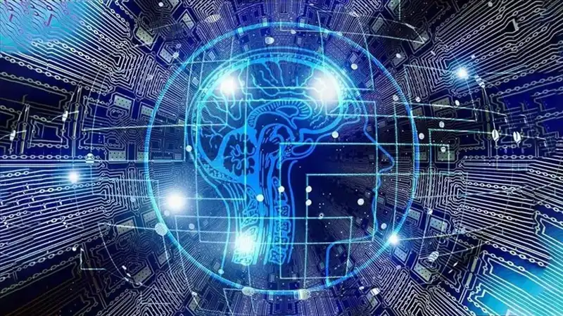 Kripto Para Dünyasında Bot Sürüsü Tespiti: Dolandırıcılık Faaliyetleri Mi Artıyor?