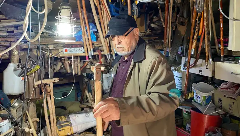 Doğanın Mucizesi: Evinin Odunluğunda Yaratılan Sanat Eserleri