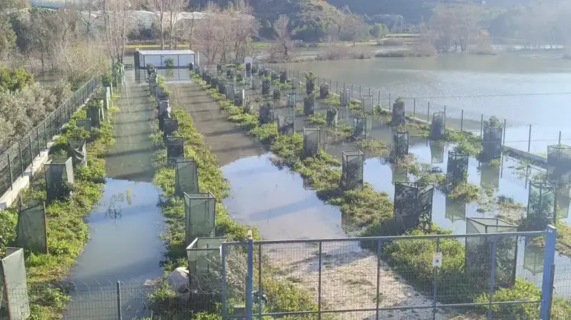 Irmak Taşınca Otoyol Şantiyesi Sular Altında Kaldı: Dikkat Çeken Görüntüler