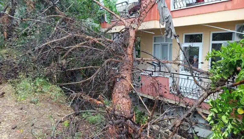 Yağmura Direnemeyen Bina, Kahramanının Üzerine Yıkıldı: Detaylar Haberimizde!