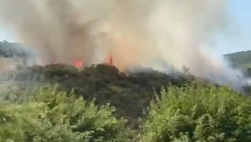 İstanbul'da Orman Yangını: Vatandaşlar Tahliye Edildi, Tehlike Kapıda!
