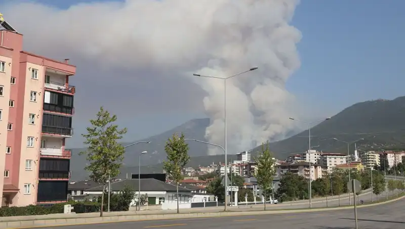 Denizli Orman Yangınında Şok Gelişme: Bir Şüpheli Gözaltında!