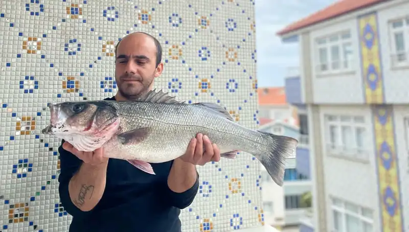' Balıkçının Rüyası: 7,5 Kiloluk Dev Levrek Avlandı!