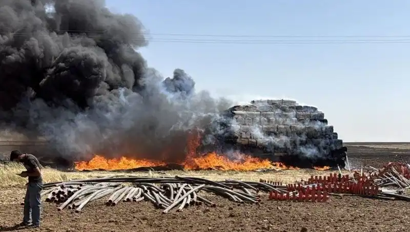 Mardin’de Anız Yangınları: Doğaya ve Ekonomiye Etkileri Neler?