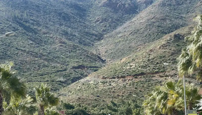 Marmaris Ormanları Yeniden Hayat Buluyor: Yangın Sonrası İyileşme Süreci