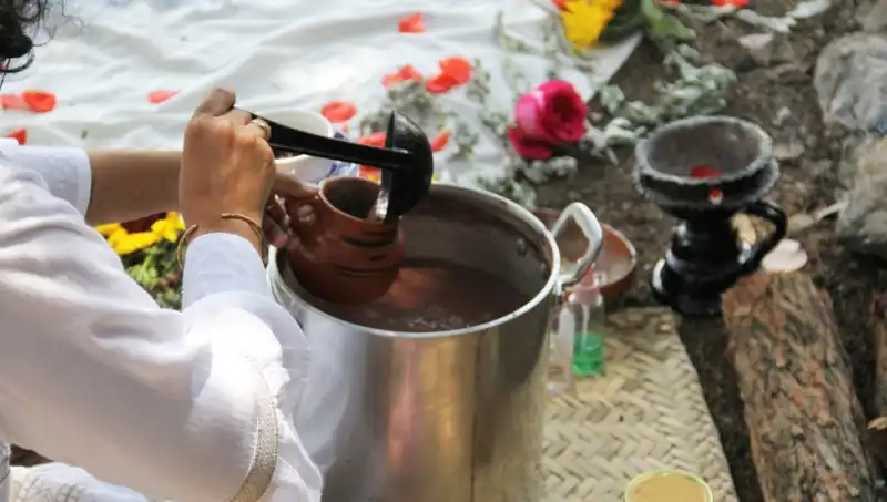 Ayahuasca: Şifa mı, Tehlike mi? Legal Durum ve Etkileri Üzerine Derinlemesine İnceleme