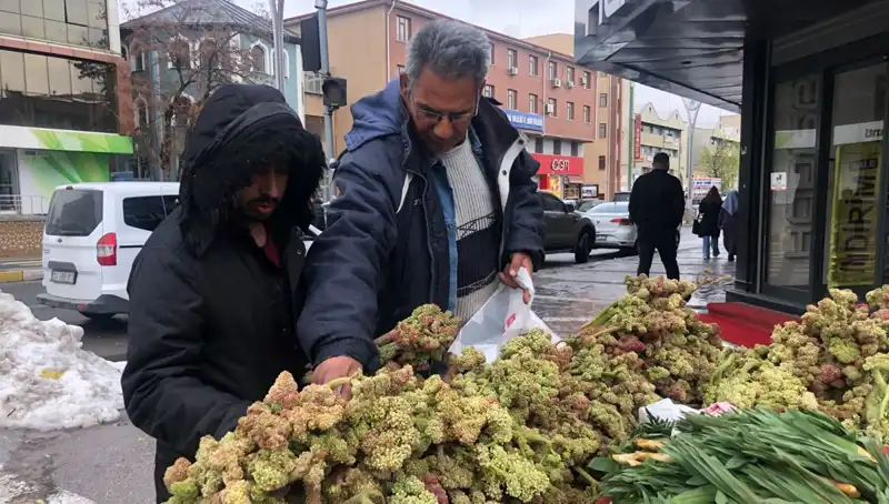 Kendiliğinden Yetişen Süper Gıda: Kanserle Mücadelede Yeni Umut