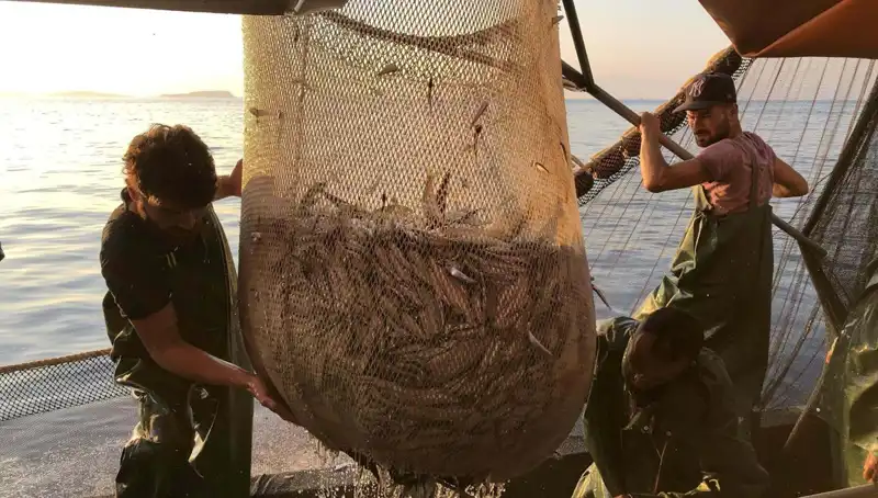 Balıkçılar Grevde: İhlaller Sonucu Ceza Yağmuru Geliyor!