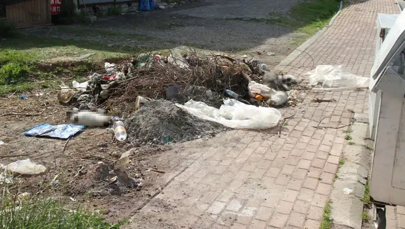 Antalya’da Kedilere Yönelik Vahşet: 10 Kedi Ölü Bulundu!