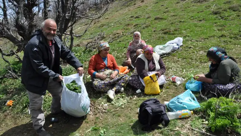 Dağda Yürüyüş Yaparak Para Kazanan Ailelerin Hikayesi