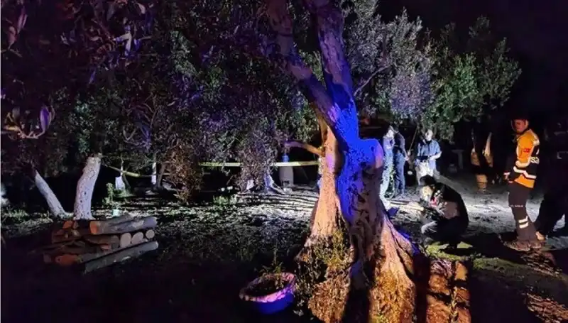 Çiftlikte Baltalı Vahşet: Tutuklama ve Şok Detaylar