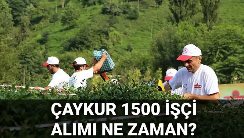 Çaykur İşçi Alımı Başvuru Tarihleri Açıklandı: Son Gelişmeler