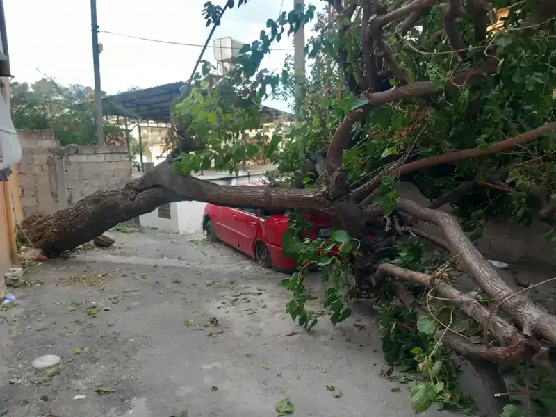 Hatay’da Fırtına Sonrası Hayat Felç, Ağaçlar ve Çatılar Yerle Bir Oldu!