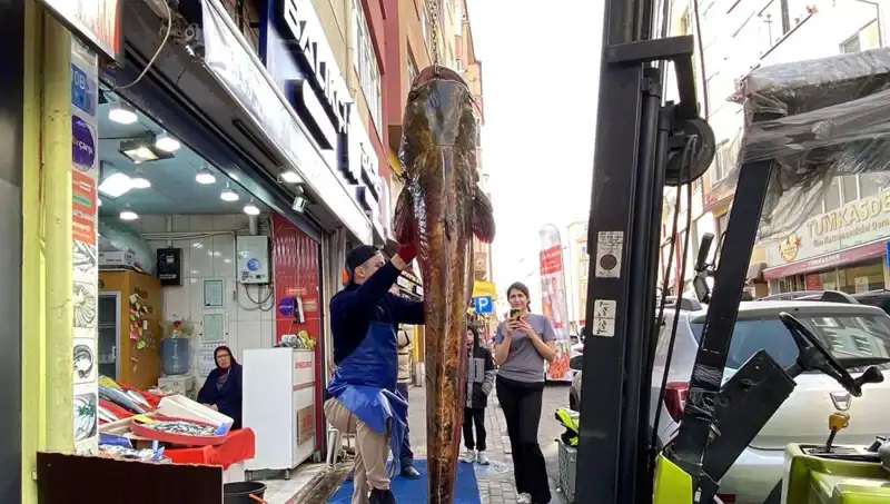 Meriç Nehri'nden Yüzlerce Kilo Balık Yakalandı! Fiyatı İle Şaşırttı