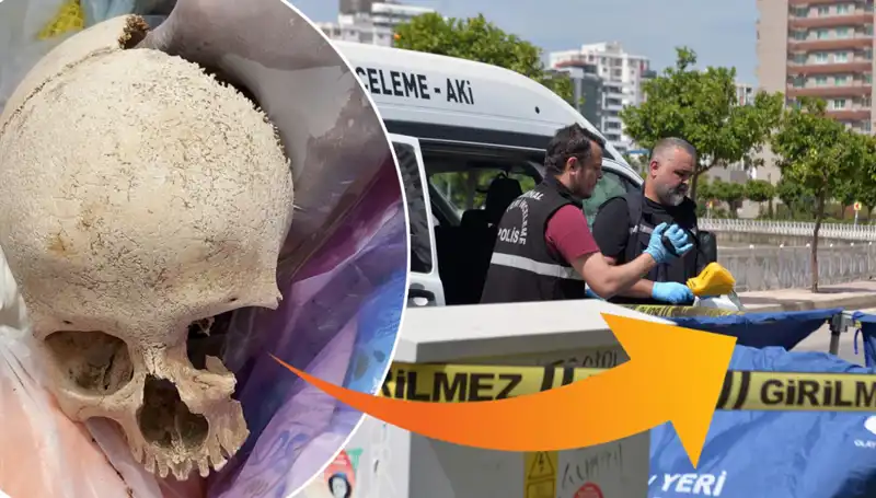 Sitenin Çöpünden Çıkan Kafatası Sırrı: Uzman Doktor Gözaltında!