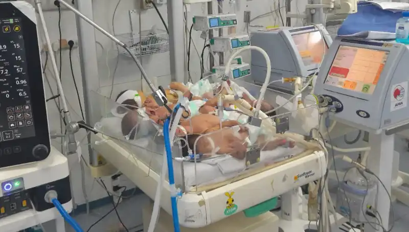 Gazze'deki Doktorlar Çaresizlik İçinde: "Kuvözlerde Birden Fazla Bebek"
