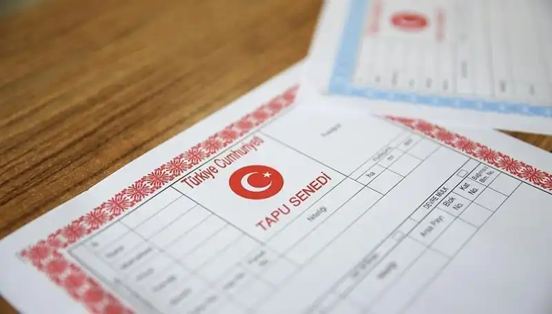 100 Milyonluk Dolandırıcılık: Hisseli Tapu Yalanı ile Tuzak Kuruldu