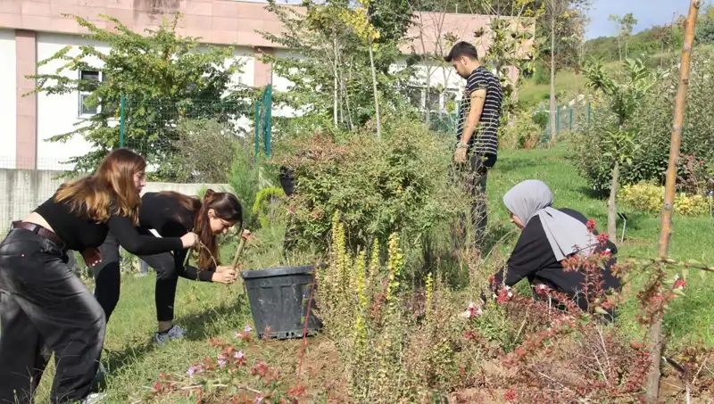 Düzce'den Tüm Dünyaya: Hayaller Gerçek Oluyor!