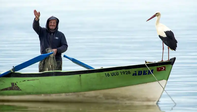 Yaren Leylek Bu Yıl Ne Zaman Geldi? Leylek Göçü ile İlgili Her Şey