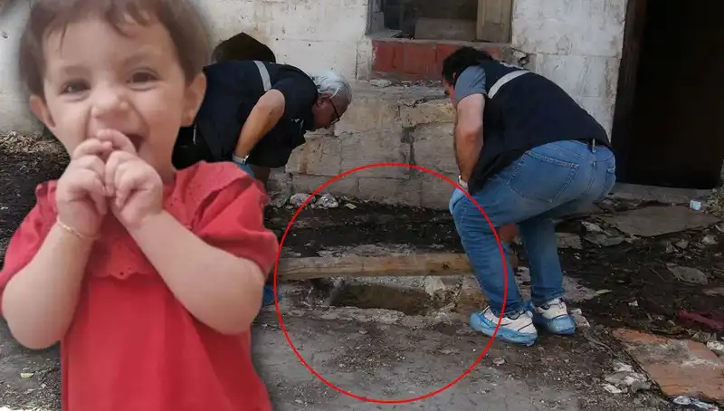 Cesedi Kuyuda Bulunan Aric'in Gizemli Ölümü: Cinayet mi? İntihar mı?
