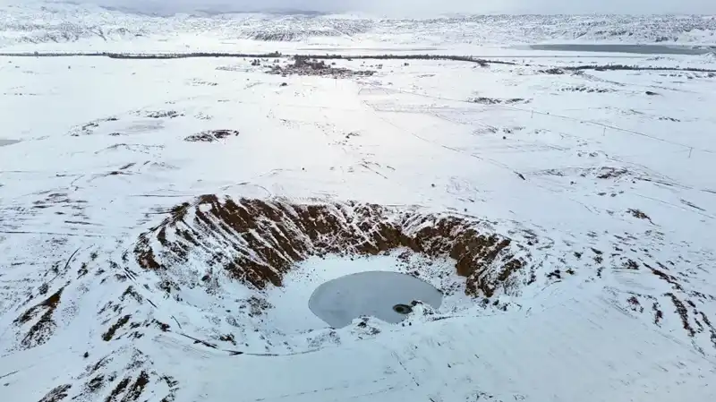 Güneşe Göre Renk Değiştiren Bitki, Dondurucu Soğuklarla Yüzleşemedi!