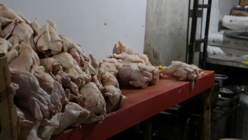 Döner İmalathanesinde Şok Edici Görüntüler: Hijyen Bilançosu!