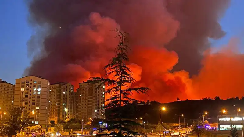 Bursa'da Yangınlar Büyüyor: Şehirde Alarm Zamanı mı Geliyor?